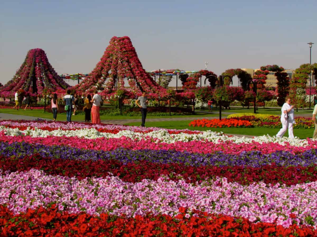 Miracle Gardens Dubai
