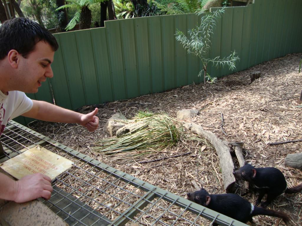 Hanging with Aussie animals