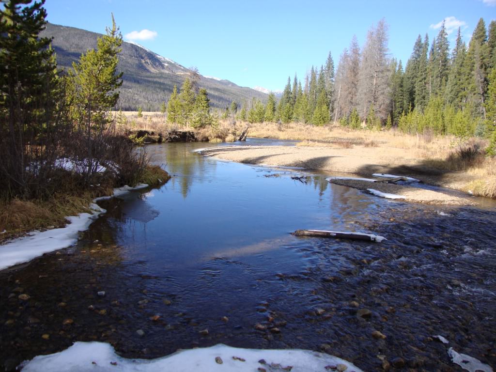 stream in the Rocky Mountains, rocky mountain national park