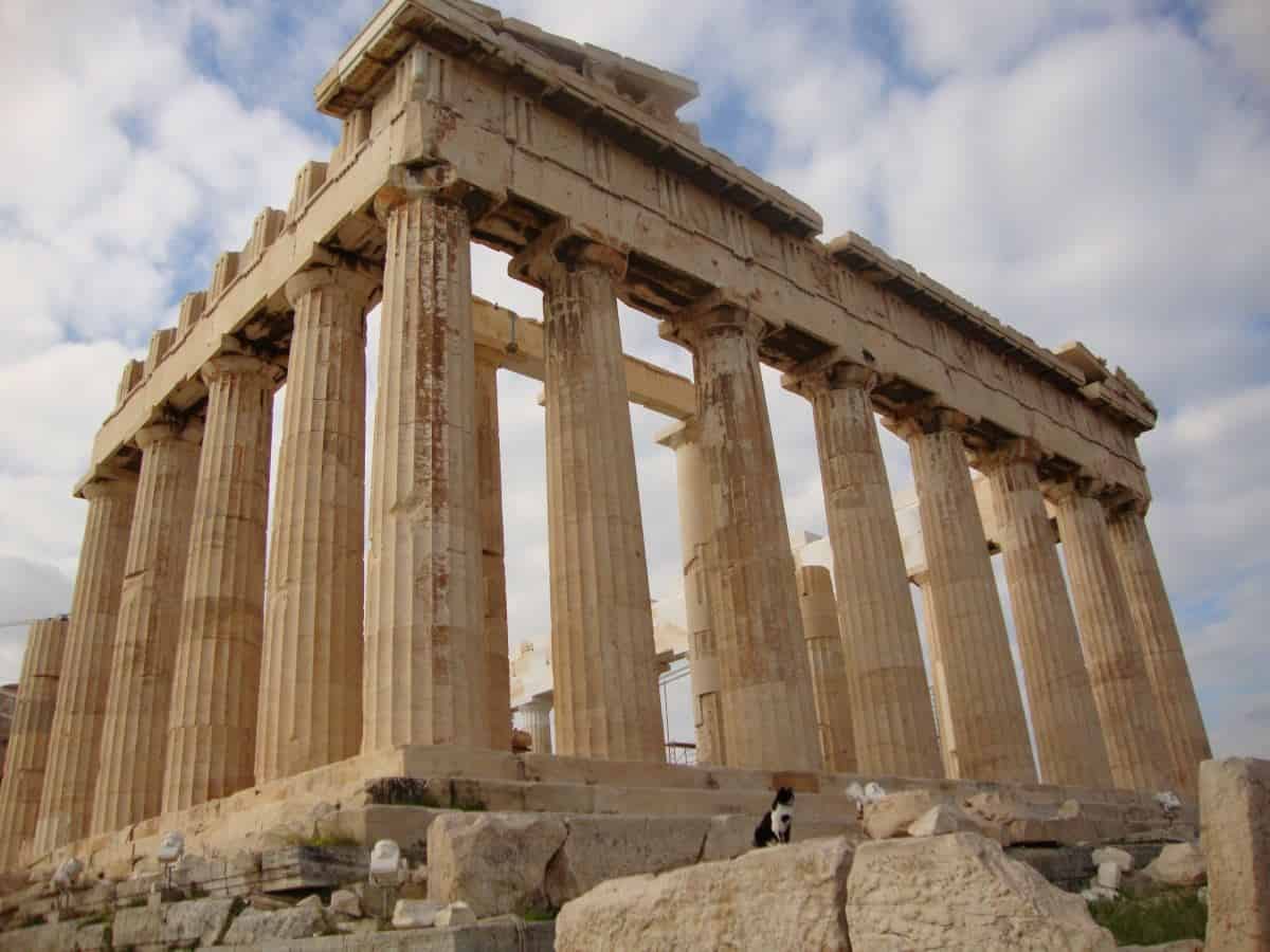 Acropolis cat, cats of Greece