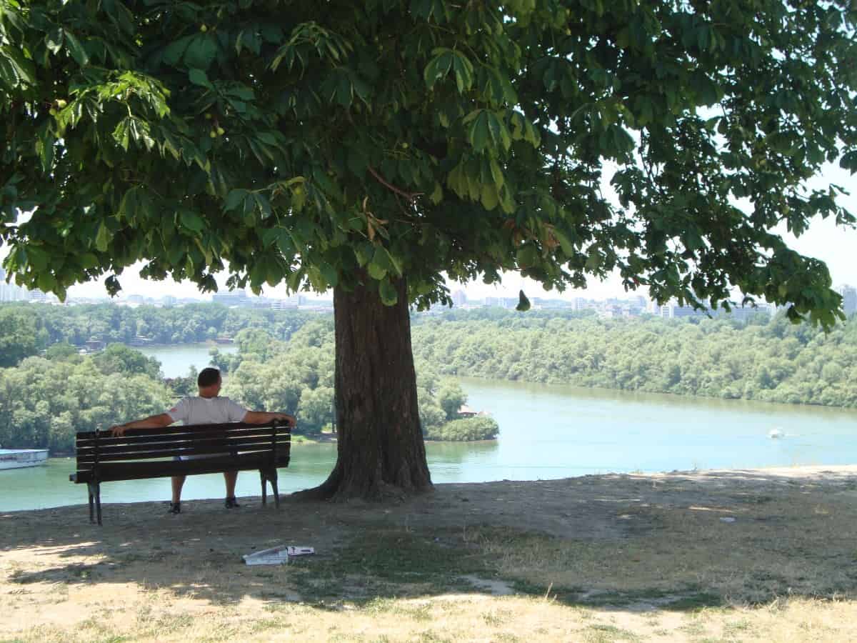 A man enjoys his bench and the intersection of the Danube and Sava rivers in Belgrade. American in Belgrade