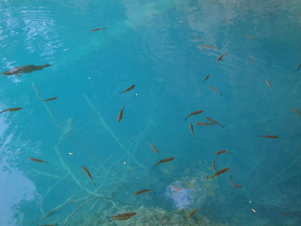 Plitvice Lakes National Park