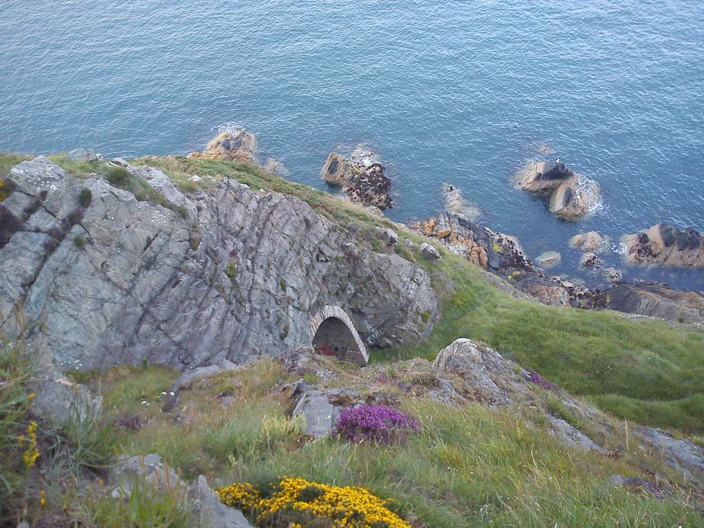 Cliffs and flowers of Bray cliff walk