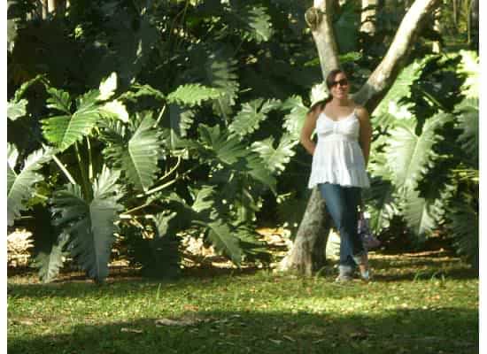 Jardin Botanico Rio