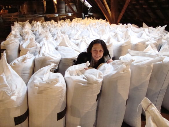 Cantillon brewery store room, Bell hiding between the bags of grains