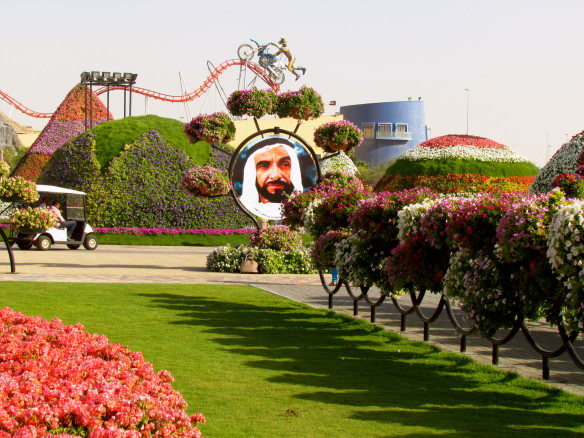 flowers and UAE ruler at Miracle Gardens Dubai