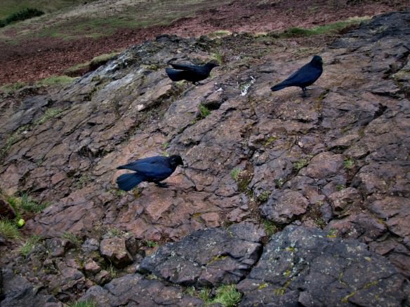 Arthur's Seat