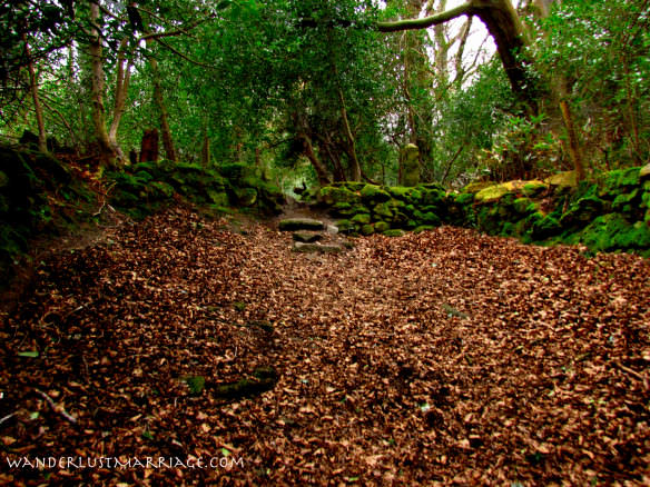 Hike in the Wicklow Mountains