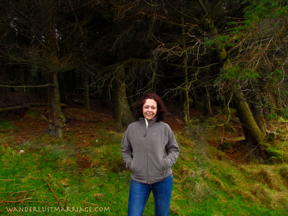 Bell in the Wicklow Mountains