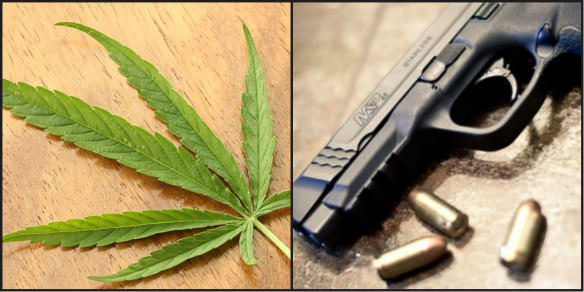 photo of marijuana leaf and handgun to highlight police differences