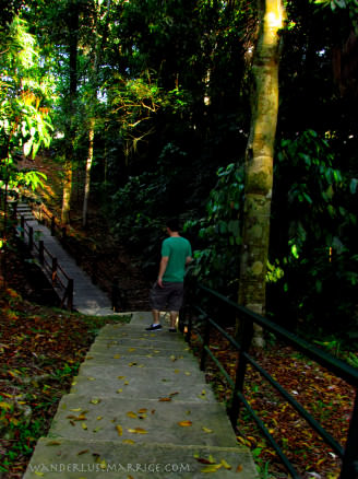 Alex walking through Sandakan Memorial Park