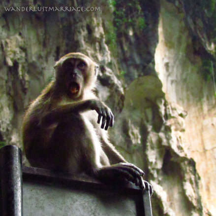 Cheeky Batu Cave monkey