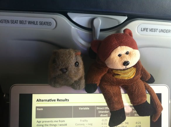 You could work on the plane, and when things get boring you could have your furry friends step in for entertainment. 