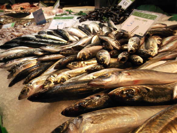 Spanish market food - fresh fish display