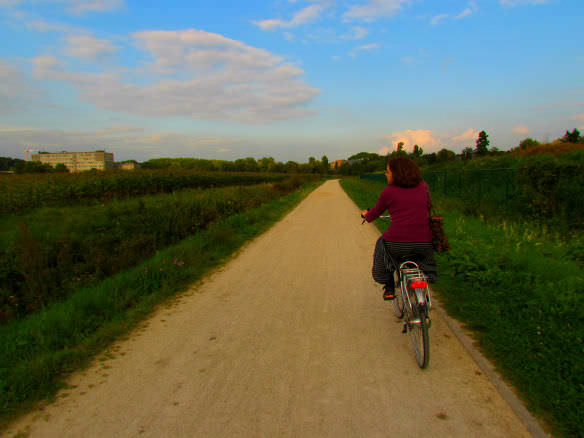 Cycling by a Belgian wheat farm, just outside Leuven.