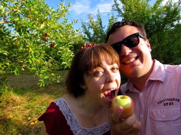 apple picking outside Boston, Massachusetts