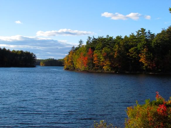 Lakeside autumn foliage in Maine.