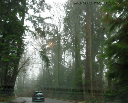 Driving through Stanley Park