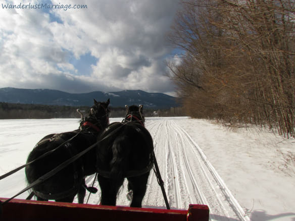 Horse and sleigh in the snow