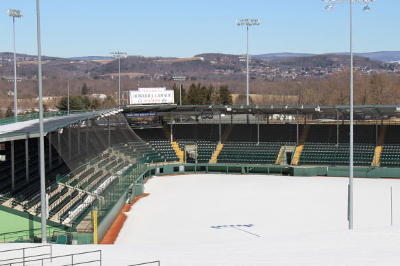 Little League World Series Stadium