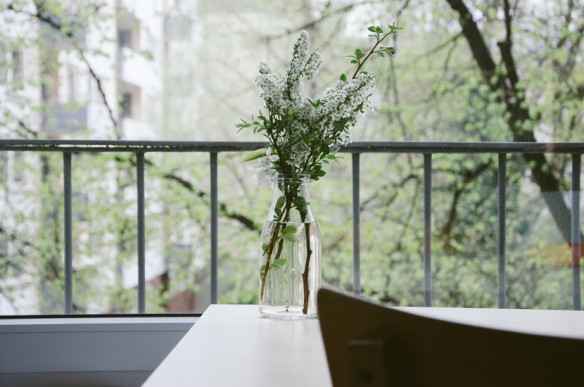 nature-flowers-table-balcony-large