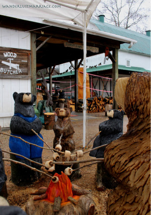 Hocking Hills Bears