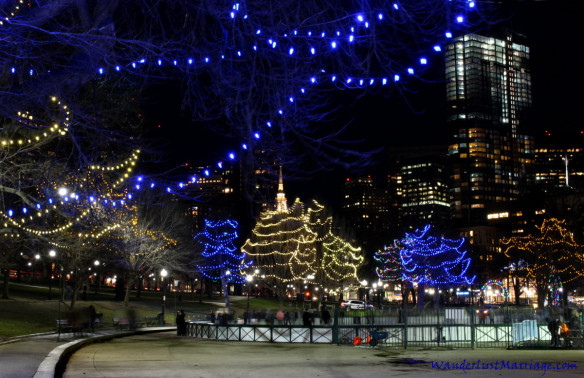 Frogpond, Christmas Lights of Boston