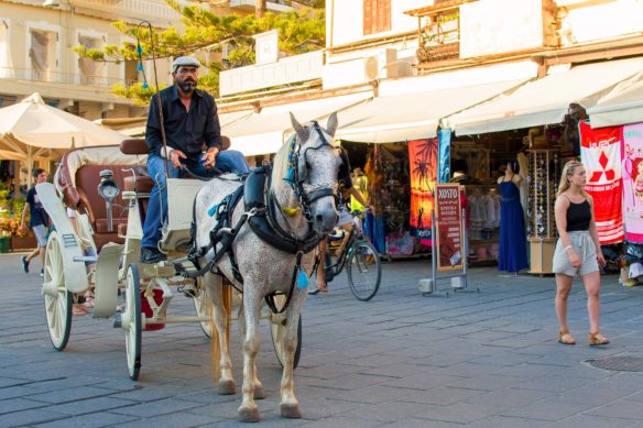 Chania horse and carriage operator with shops in the background