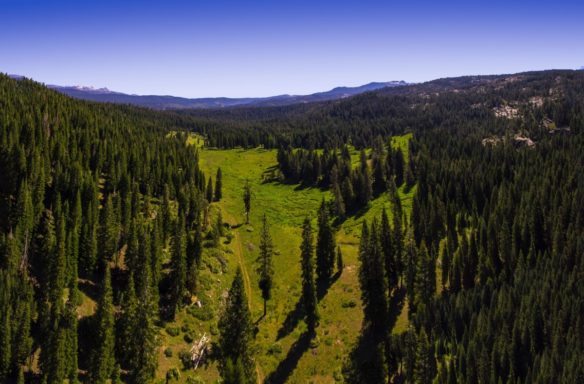 John Muir Trail with green mountains, trees and blue skies