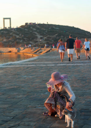 Bell making friends with a cat at dusk along the board walk