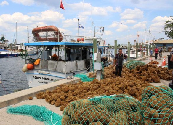 A man standing in the middle of sponges on the Sponge docks in Tarpon Springs, Florida