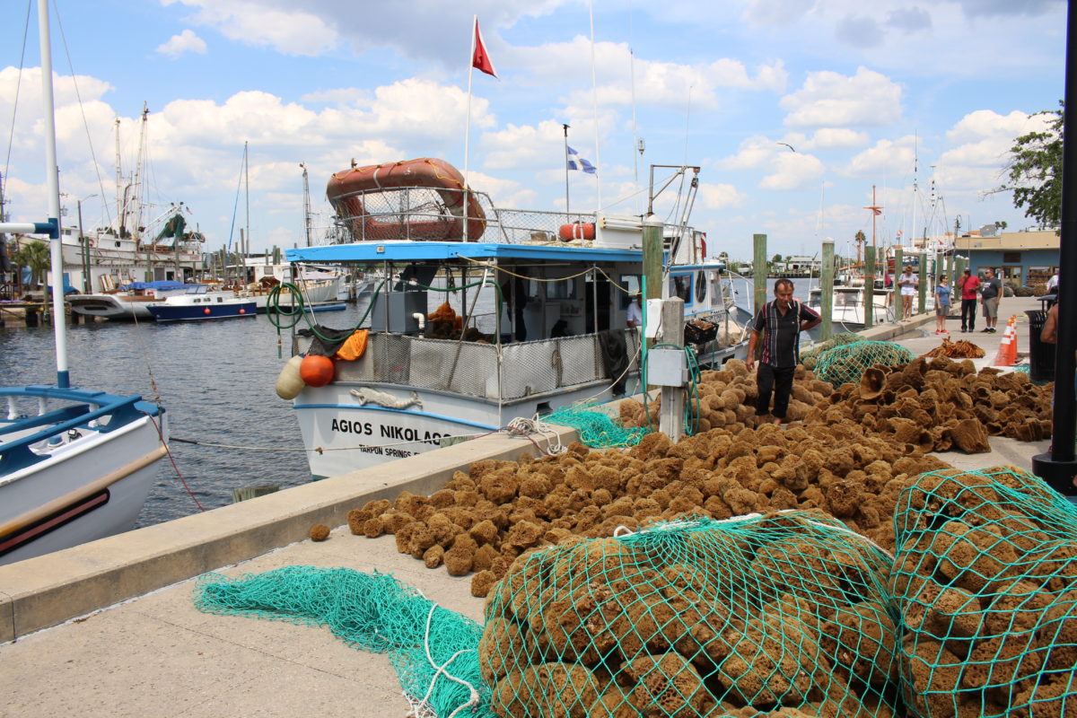 Tarpon springs FL your amazing! #tarponspringsflorida