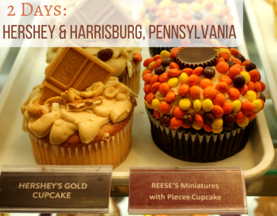 Delicious Hershey's gold cupcake and Reese's pieces cupcake at Chocolate World