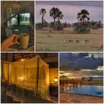 Luxury safari holidays in Africa