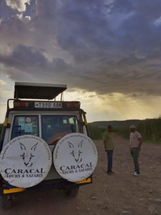 Safari Holidays in Tanzania