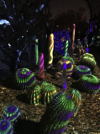 Cactus lit up with lights as part of electronic desert in Phoenix