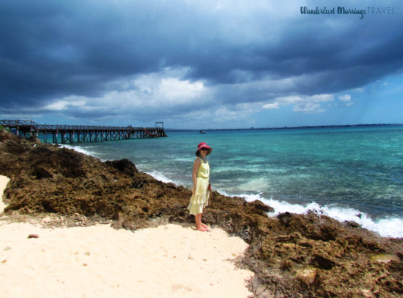 Bell standing on the beach with dark stormy clouds