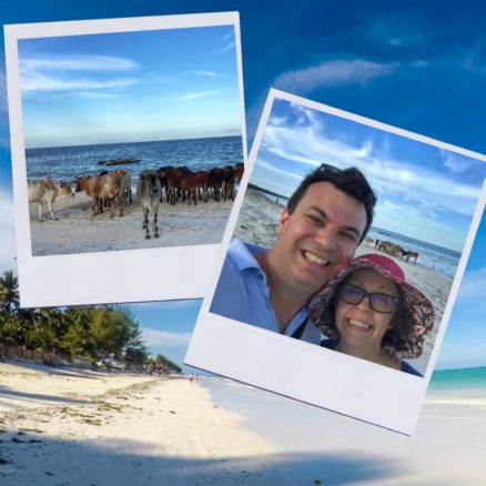 Collage of pictures on the white sand beach including one with cows on the beach