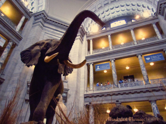 Entrance into the Natural History museum in DC