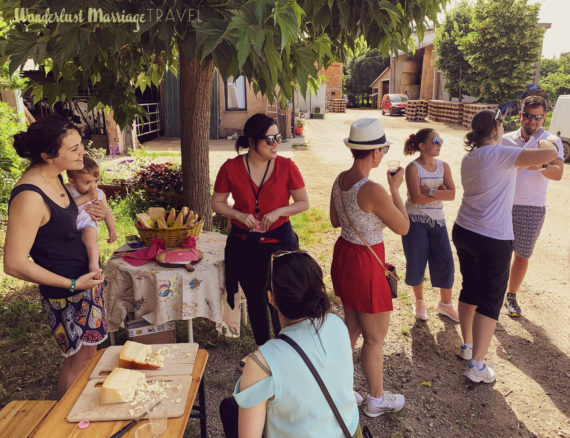 Tour group eating cheese and wine on the farm