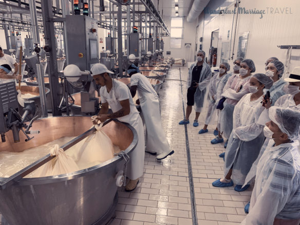 Factory works making the Parmesan cheese