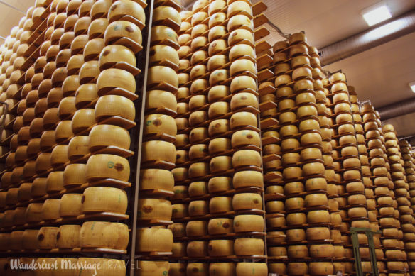 hundreds of Parmesan cheese wheels stacked high