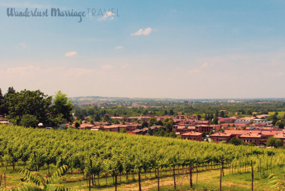 View at lunch of vineyards and a village below