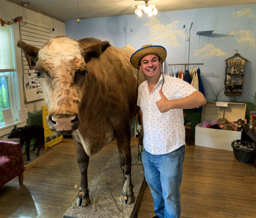 Alex with a taxidermy cow 