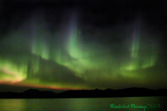 Green and pink northern lights dance on the horizon with the stars above