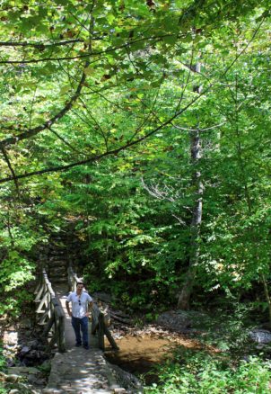 Alex on a wooden bridge in the forest of Shenandoah Valley