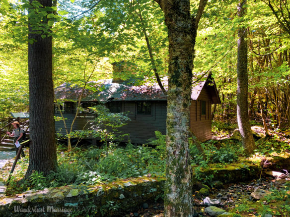 Cabin in the woods, surrounded by beautiful green trees