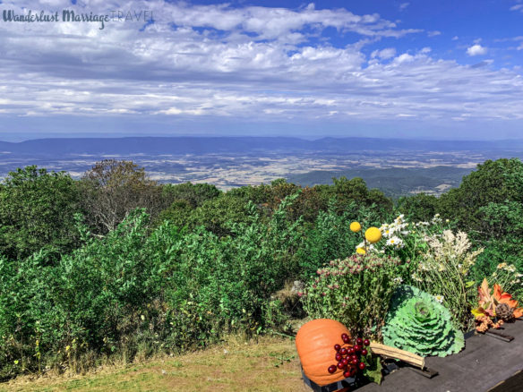 Fall display with pumpins overlooking the valley with blues skies