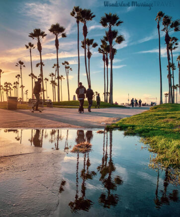 Sunset along the boulevard in Venice beach, reflected in a puddle 