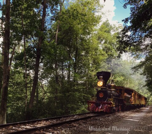 An old steam train going through the trees with a red grill on the front